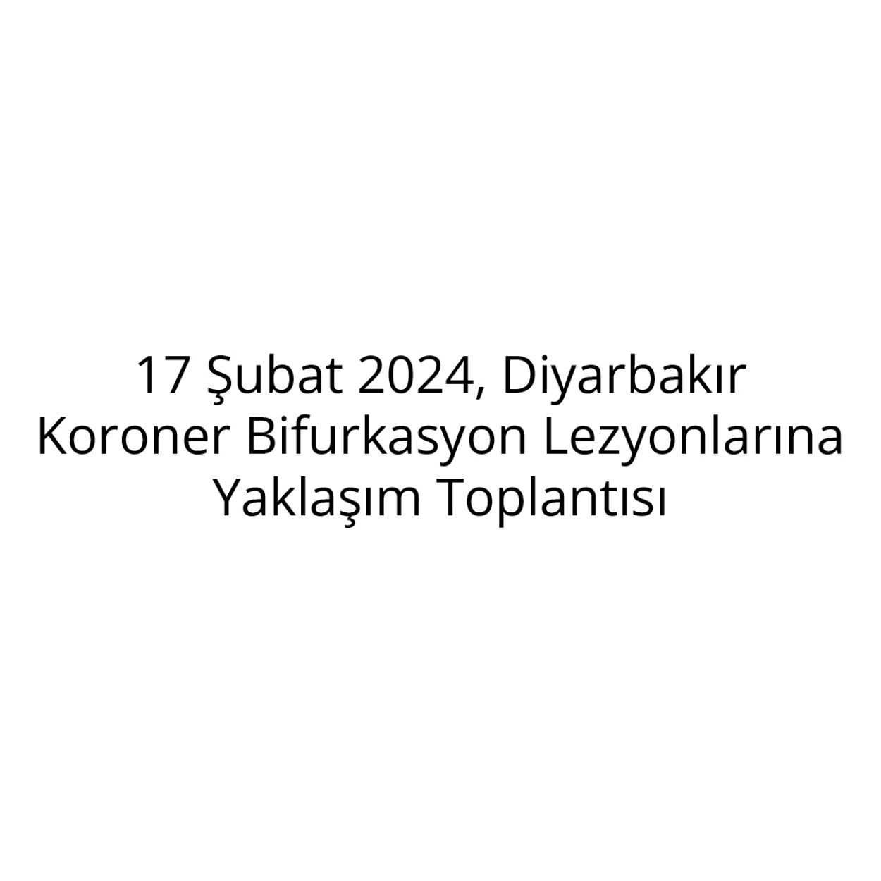 17 Şubat Diyarbakır