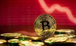 Bitcoin’de “Büyük Çöküş” Alarmı: Mike McGlone 10 Bin Dolar İçin Tarih Verdi!